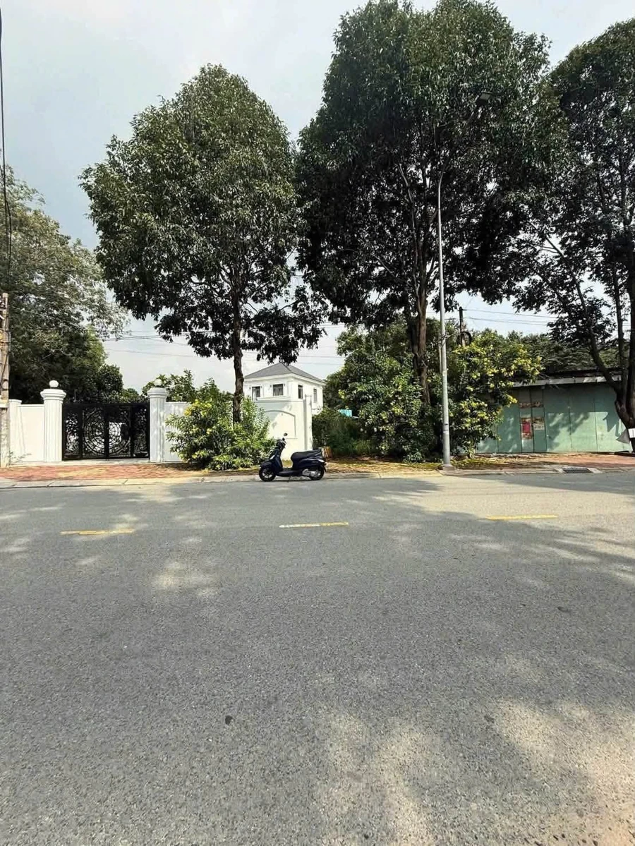 Bán đất mặt tiền Nguyễn Đức Thuận 164m2 Thủ Dầu Một 2.9 tỷ - Ảnh thu nhỏ 2
