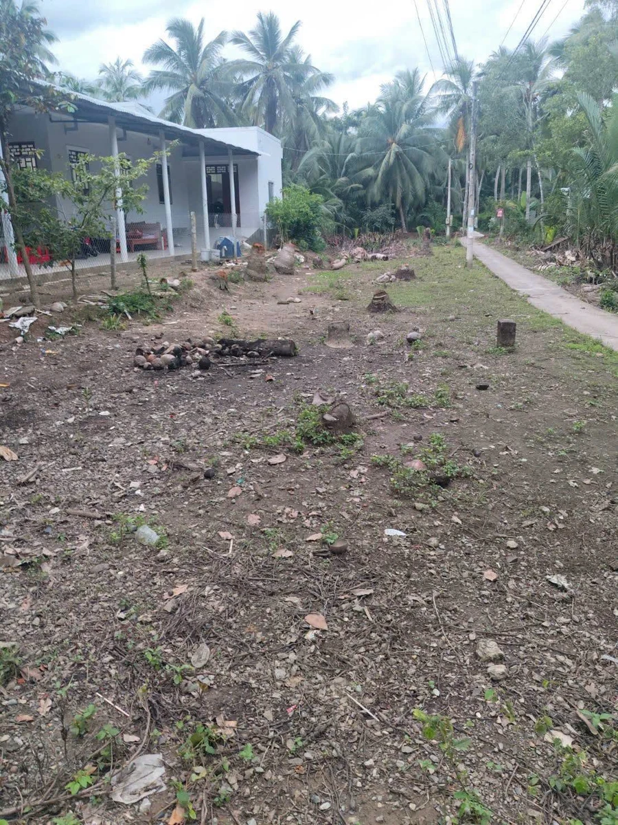 Bán nền đất mặt tiền An Bình Cần Giờ 658 m² - Ảnh thu nhỏ 3