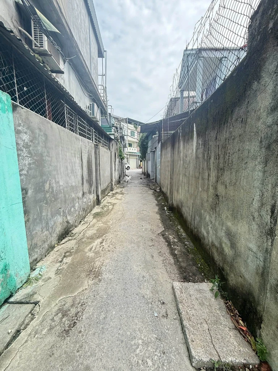 Bán đất Hưng Phúc 63m² mặt tiền Thành Thái 3 tỷ - Ảnh thu nhỏ 4