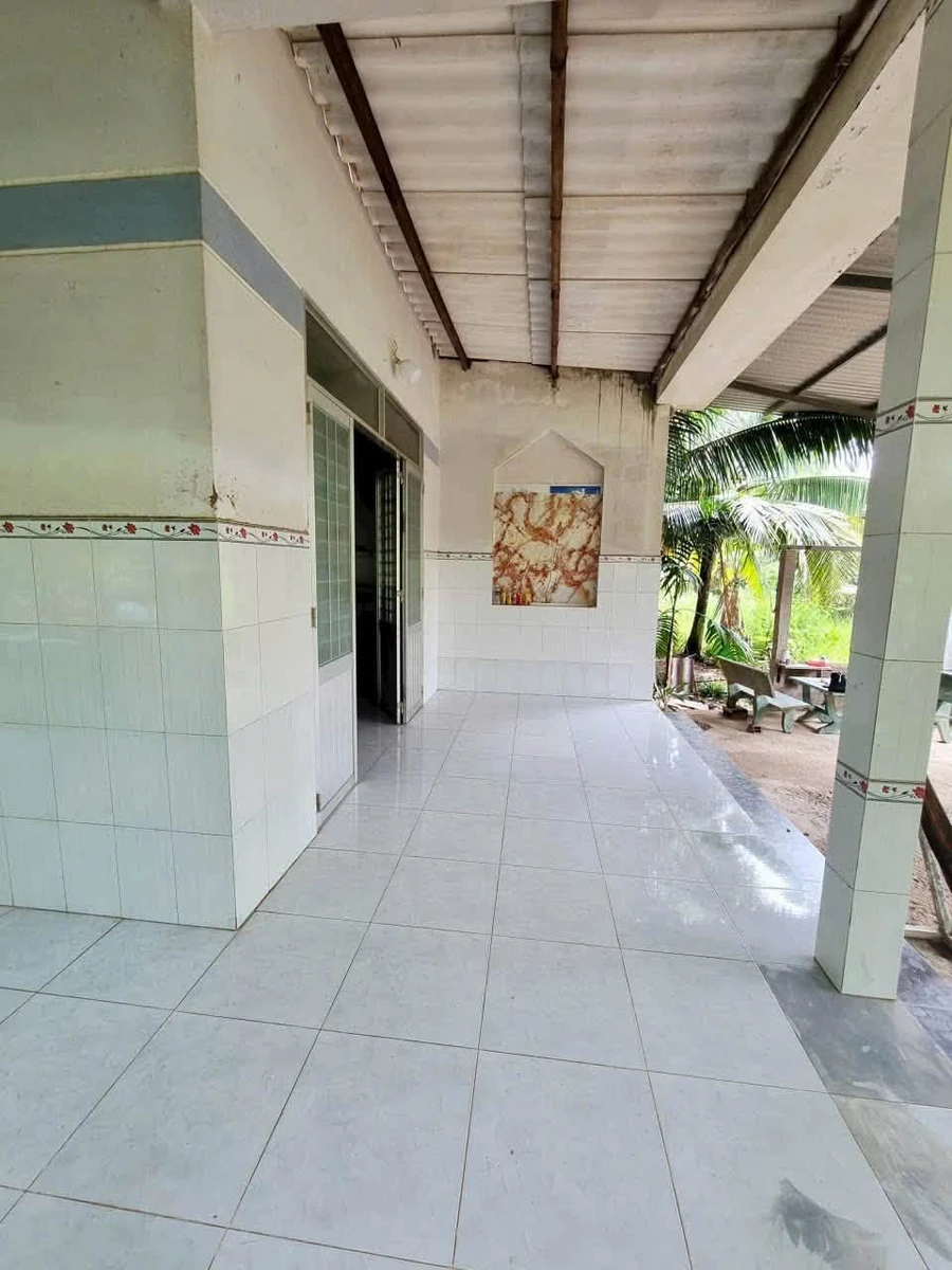 Đất bán Phước Thạnh 340m², 900 triệu, Bình Tân - Ảnh thu nhỏ 3