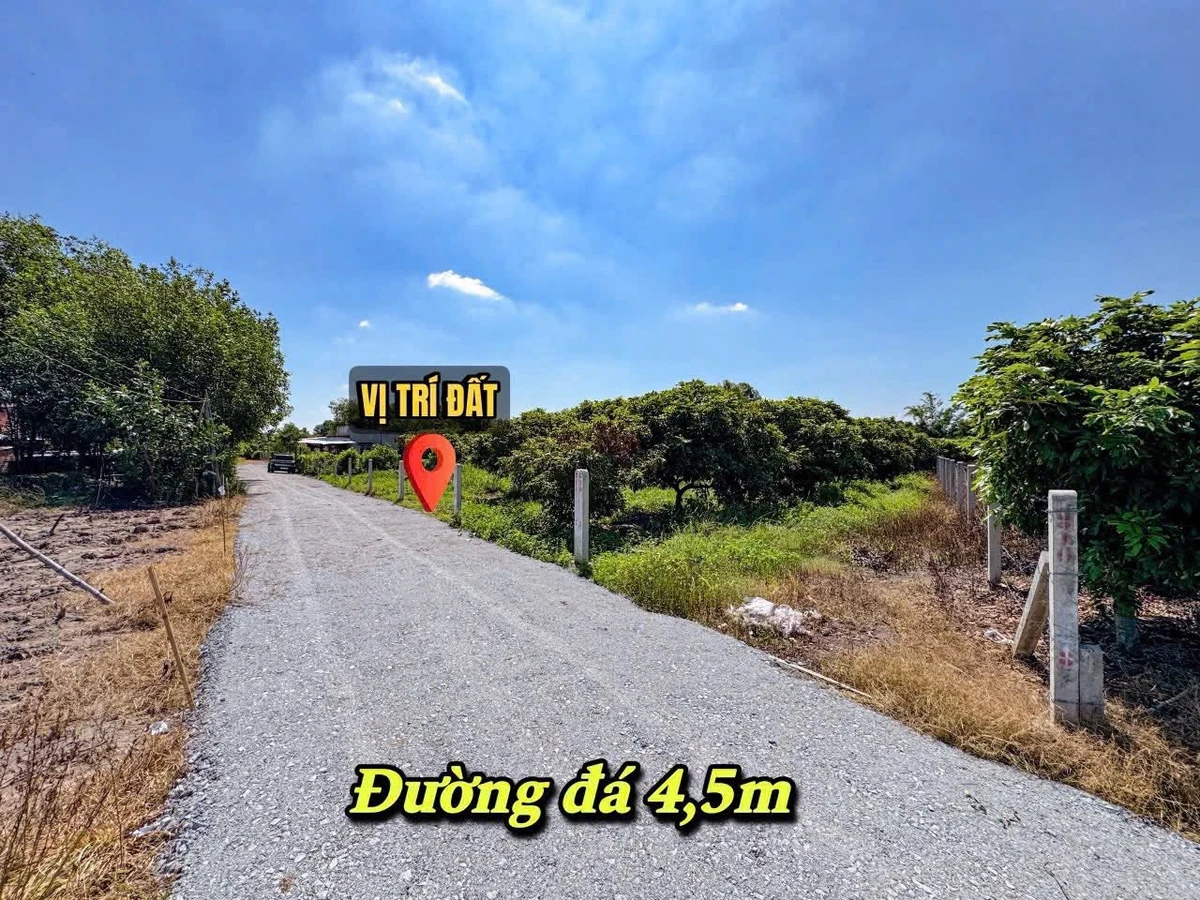 Bán đất nền 200m² full thổ cư Tây Ninh 299 triệu - Ảnh thu nhỏ 3