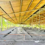 Bán trại heo 10.000m² Dầu Giây, Đồng Nai, 6,3 tỷ - Ảnh thu nhỏ 4