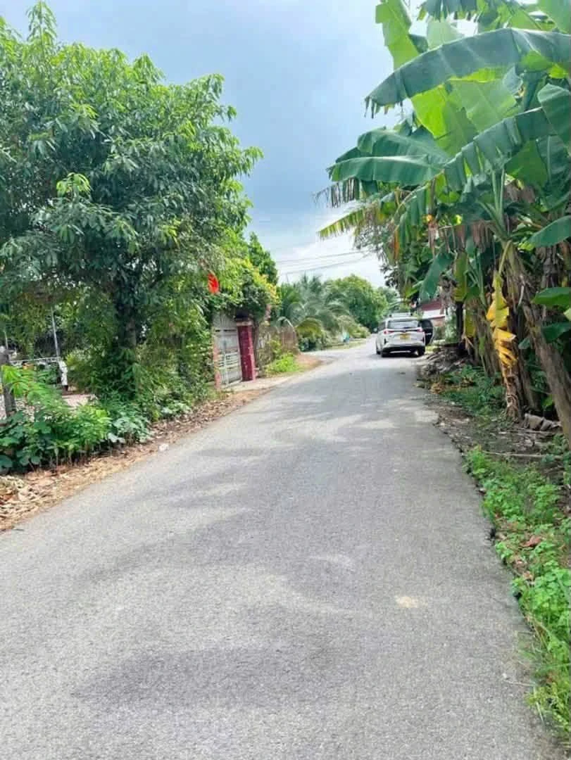 Bán lô đất thổ cư 5,5 x 38m đường nhựa gần ĐT744, Phú An, Bến Cát - Ảnh 1