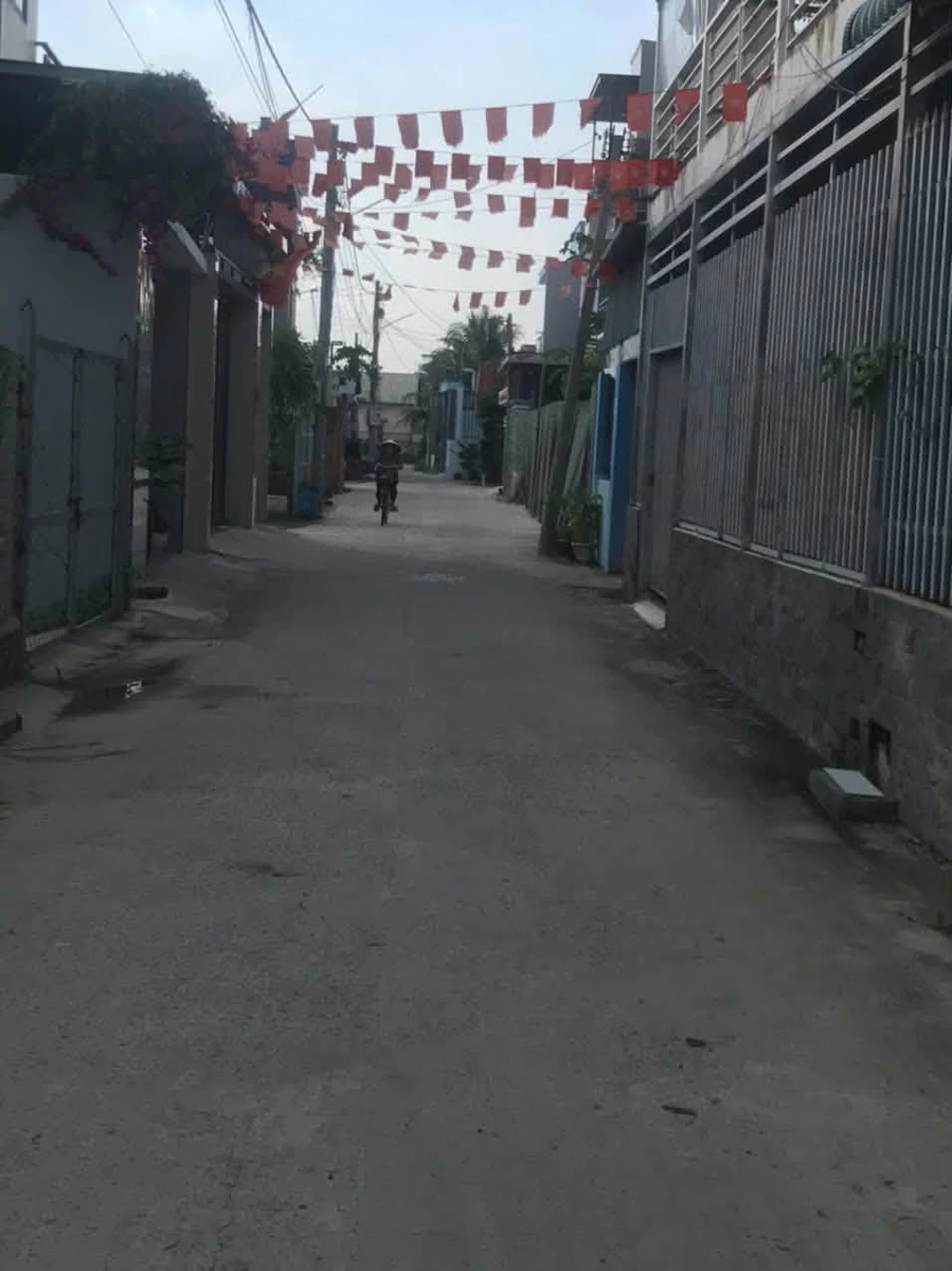 Bán nhà cấp 4 100m² Nguyễn Hữu Cảnh Bình Tân - Ảnh thu nhỏ 3