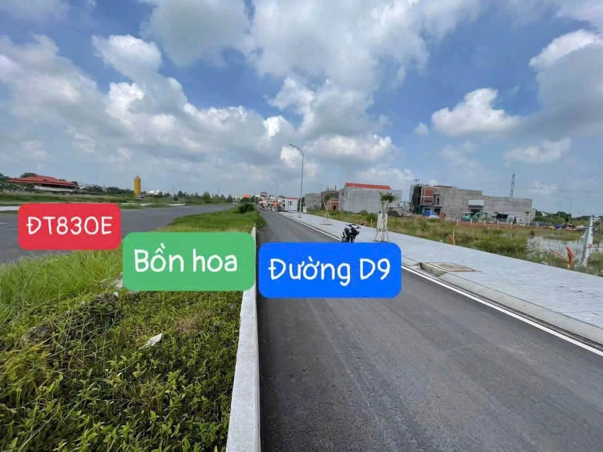 Bán nền đất 100m² song hành D9, Bến Lức, Long An - 3.4 tỷ - Ảnh thu nhỏ 3