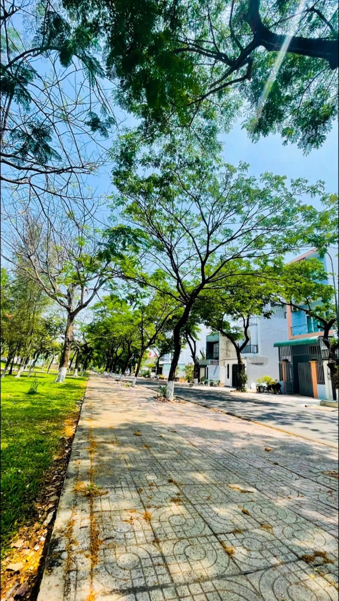 Đất bán đường Nguyễn Trãi Trảng Bom 100m2 - Ảnh thu nhỏ 2
