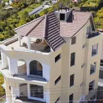 Bán villa kinh doanh 250m², 750m² xây dựng, Đà Lạt, 20,5 tỷ - Ảnh thu nhỏ 3