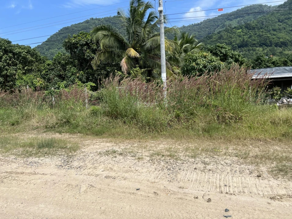 Bán 9500m vuông đất trồng CLN, quy hoạch lên đất ONT, sổ hồng riêng, chính chủ - Ảnh thu nhỏ 3