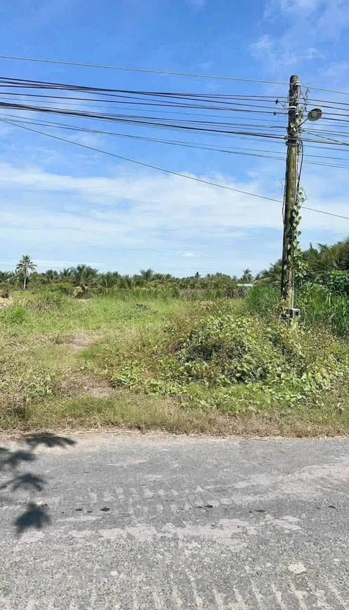 Bán 1100m² đất lúa mặt tiền Phạm Văn Thành, Tân An, Long An - Ảnh thu nhỏ 2