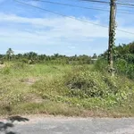 Bán 1100m² đất lúa mặt tiền Phạm Văn Thành, Tân An, Long An - Ảnh thu nhỏ 2