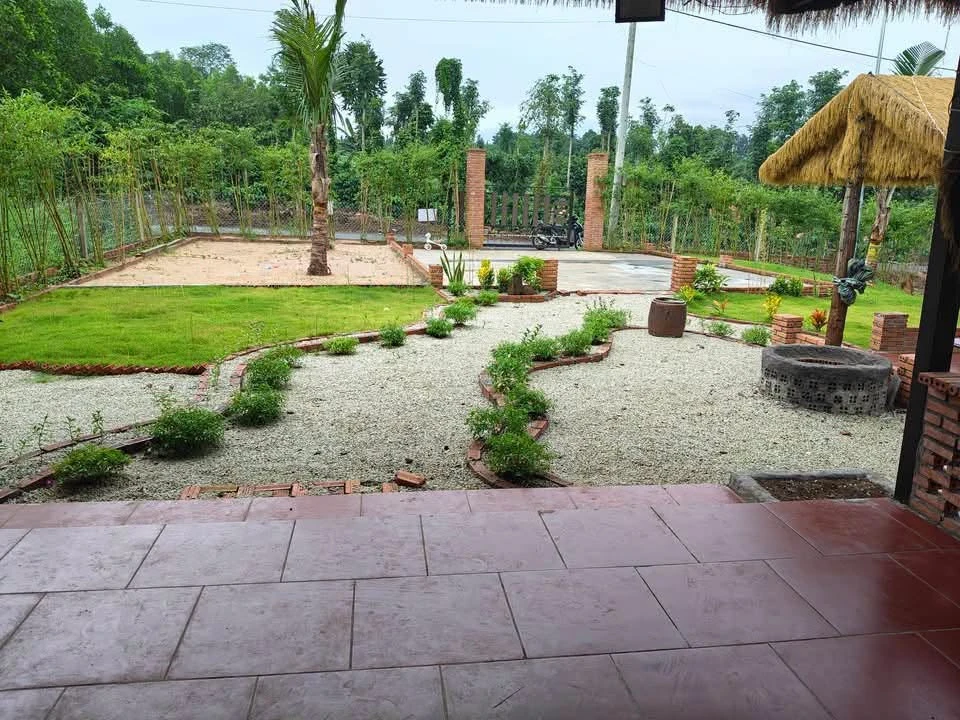 Bán nhà vườn view đẹp 555m² Bàu Chính Nhà Bè - Ảnh thu nhỏ 2