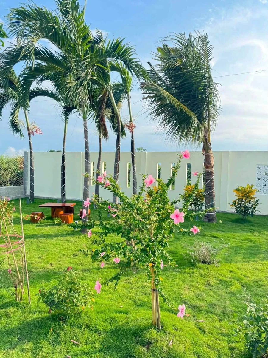Bán villa vườn nghỉ dưỡng 1600m² 1 tỷ 850 triệu Phan Thiết - Ảnh thu nhỏ 3