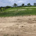 Bán đất 1.6 sào tại Phường Lagi, Lâm Đồng, 1 tỷ - Ảnh thu nhỏ 3