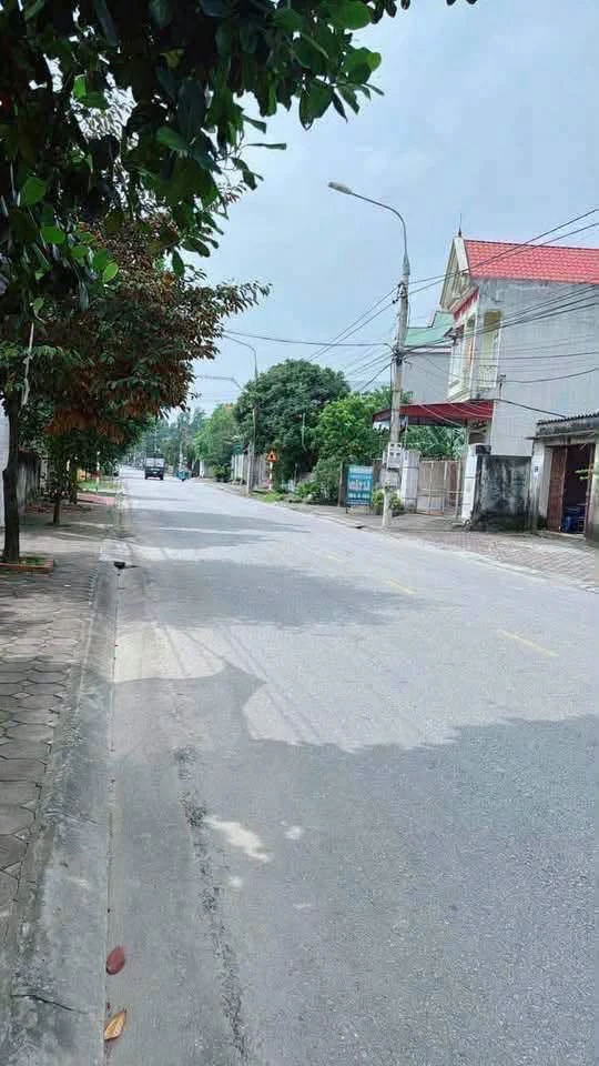 Bán nhà 2 tầng mái Thái 202m² lô góc 2 mặt tiền Hải Phòng - Ảnh thu nhỏ 2
