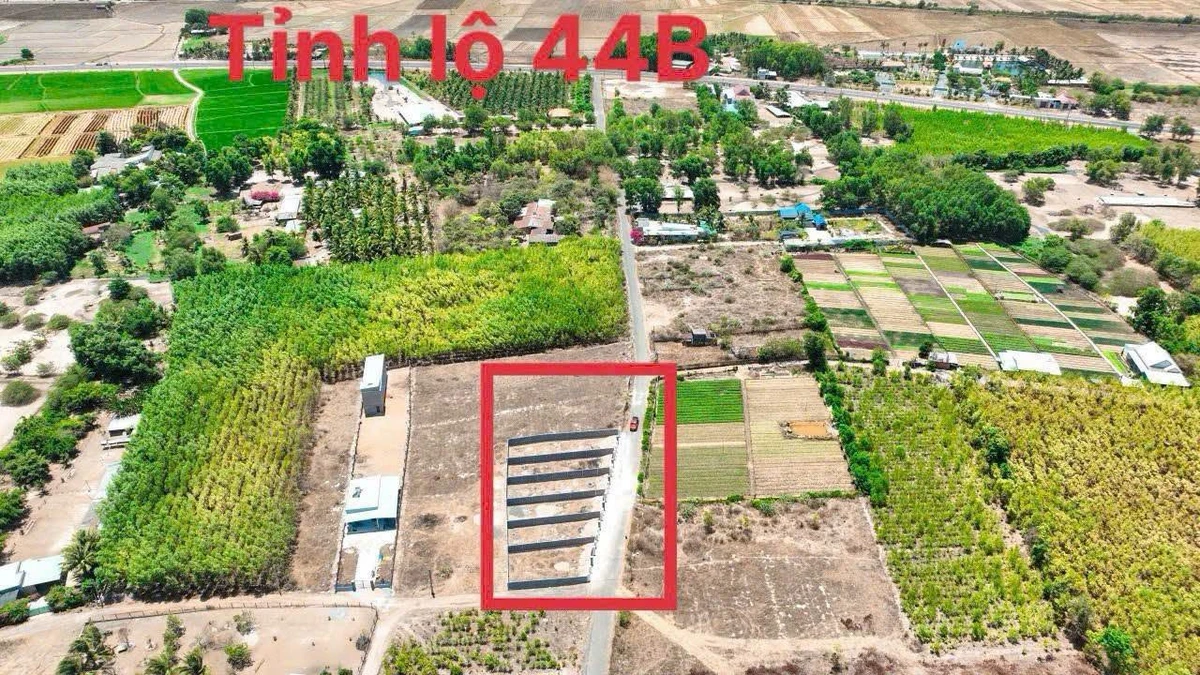 Bán 2 lô đất Phước Hải 180-198m2 gần biển 1 tỷ 550 - Ảnh thu nhỏ 2