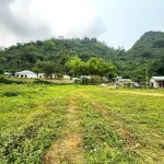 Lô góc 3277m2 gần dự án Lasaveur, view núi non bao quanh rất đẹp làm nghỉ dưỡng, giá rẻ - Ảnh thu nhỏ 19