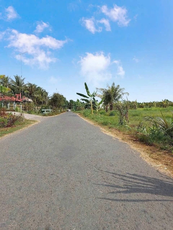 Bán đất nền 191m² Châu Bình, Giồng Trôm, Bến Tre 350 triệu