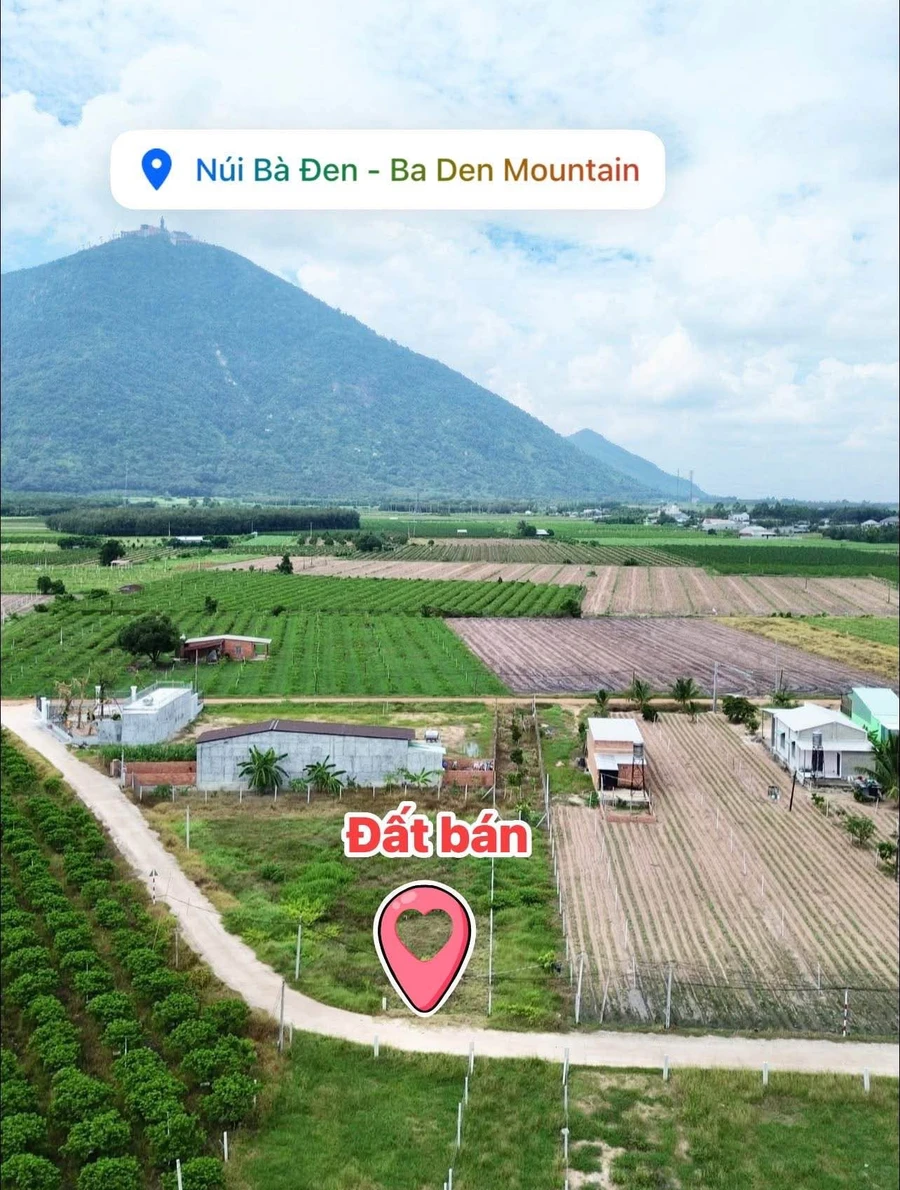 Bán đất nền 90m² 339 triệu, gần Núi Bà, Tây Ninh - Ảnh 1