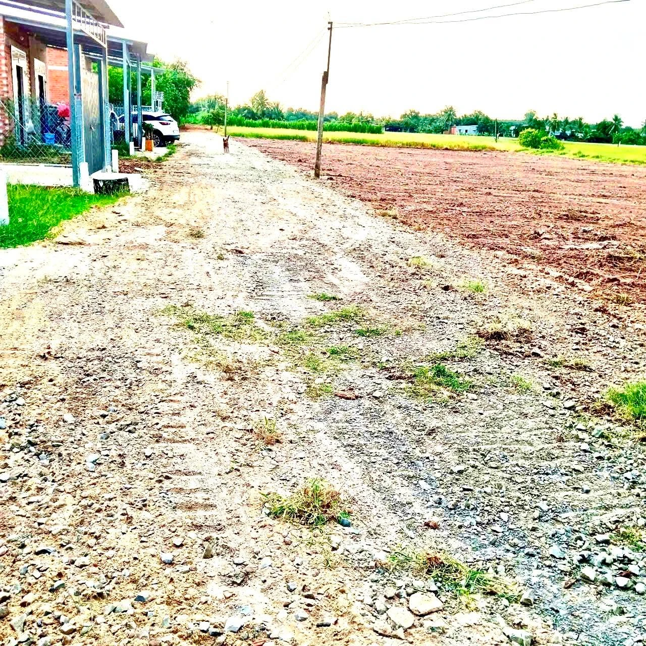 Bán đất Bình Lợi 130 m², giá 169 triệu - Ảnh 1