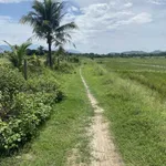 Bán đất Suối Hiệp 2300m2 giáp suối 800 triệu - Ảnh thu nhỏ 1