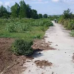 Bán lô đất 9.200m² làm kho xưởng ở Bắc Bình, Bình Thuận - Ảnh thu nhỏ 4