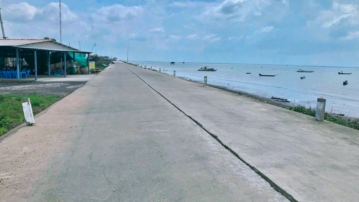 Bán đất mặt tiền biển Gò Công Đông 615m², 1 tỷ 900 triệu - Ảnh thu nhỏ 2