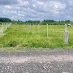 Bán lô đất công 1000m² Suối Đá Tây Ninh 529 triệu - Ảnh thu nhỏ 1