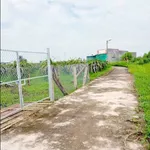 Bán đất gần 1 sào mặt tiền Hàm Liêm Hóc Môn 470 triệu - Ảnh thu nhỏ 2