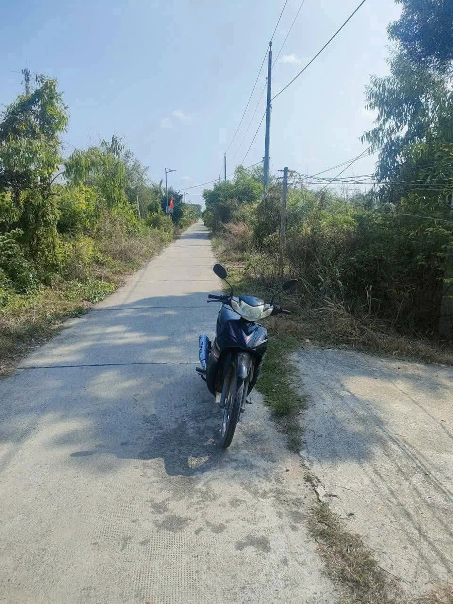 Bán nhà yến 1270m2 tại Thạnh Lợi, Tây Ninh, 4 tỷ - Ảnh thu nhỏ 4