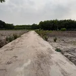 Đất bán gần KCN Becamex 155m² Bình Dương 330 triệu - Ảnh thu nhỏ 5