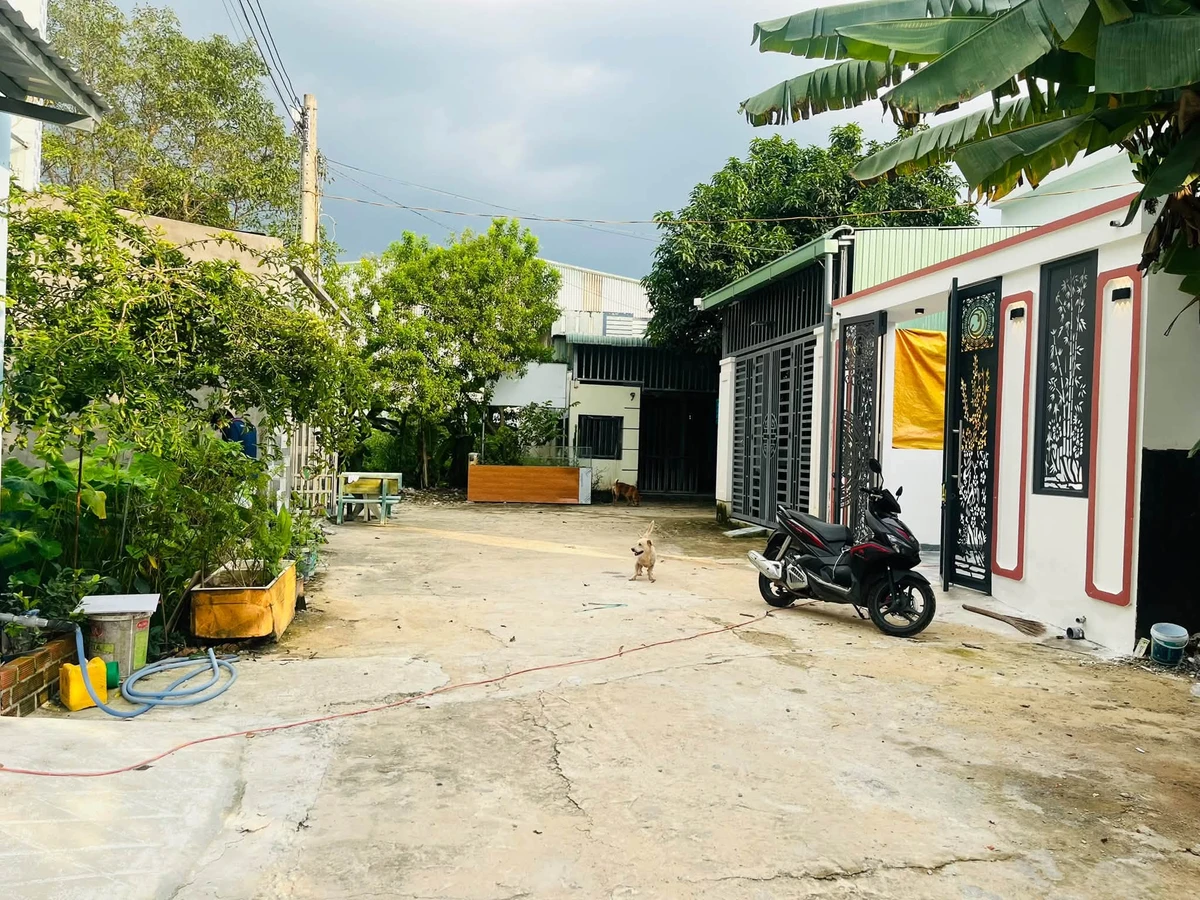 Bán nhà cấp 4 5x20m thổ cư 100% Khu 3 Tân Định, Bình Dương giá 1,89 tỷ - Ảnh thu nhỏ 2