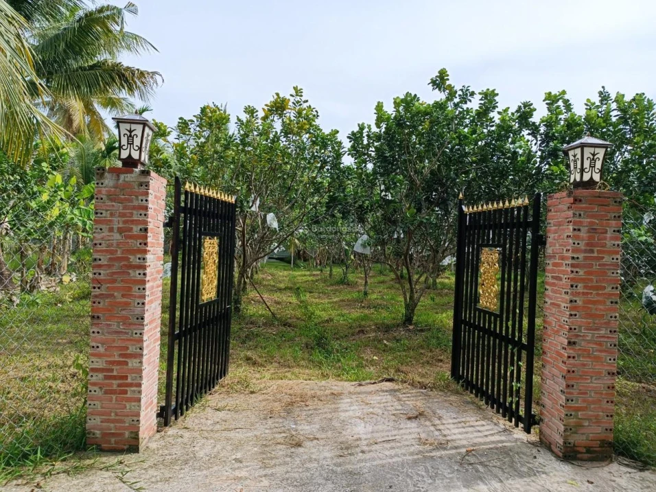 Chính chủ bán lại đất vườn, có thổ cư tại xã Tân Thạch, huyện Châu Thành, tỉnh Bến Tre - Ảnh 1