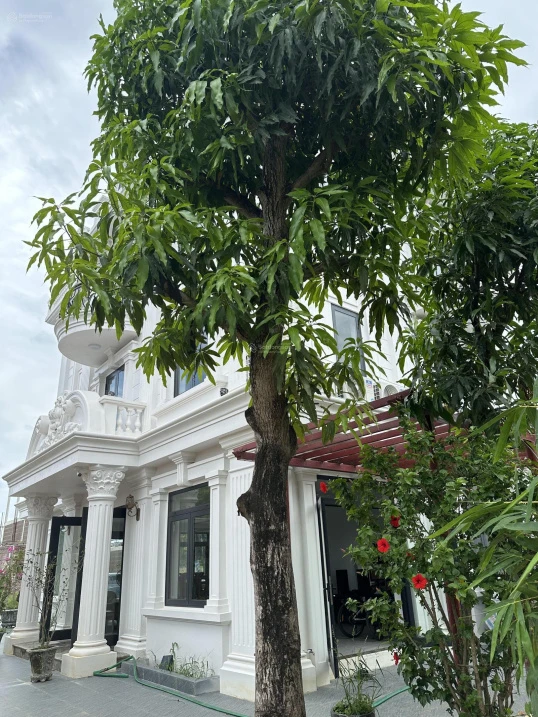 Cho thuê cả nhà hoặc tầng 1 làm văn phòng hoặc vừa làm văn phòng vừa ở - Ảnh thu nhỏ 5