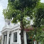 Cho thuê cả nhà hoặc tầng 1 làm văn phòng hoặc vừa làm văn phòng vừa ở - Ảnh thu nhỏ 5
