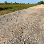 Bán đất 5x26m giá 258 triệu, xã Hưng Thạnh, Tân Phước, Tiền Giang - Ảnh thu nhỏ 3