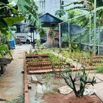 Bán đất 535m2 Tam Long Nhà Bè, 2 mặt tiền, 3 tỷ 200 - Ảnh thu nhỏ 5