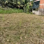 Bán đất Tân Mỹ 200m² thổ cư giá 290 triệu - Ảnh thu nhỏ 3
