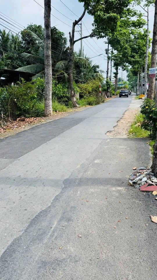 Bán đất 302m2 (180m2 thổ cư) gần điện máy Chợ Lớn, phường Bến Tre, giá 1,7 tỷ - Ảnh thu nhỏ 2