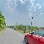 Bán nhà vườn 311m² có sân vườn tại Tân An Hội, Củ Chi - Ảnh thu nhỏ 1