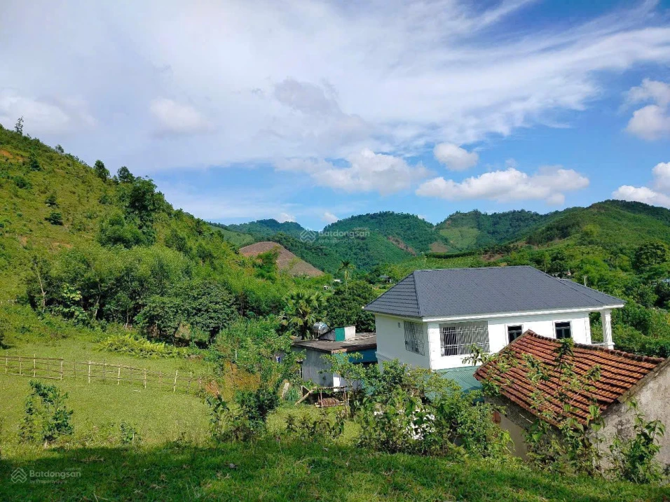 Bán 2 lô tại Kim Sơn, Kim Bôi có lô DT 1700m2 thổ cư. Giá chỉ 3 tỷ hơn - Ảnh thu nhỏ 3