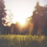 Căn hộ dịch vụ Q.Phú Nhuận cho thuê dài hạn - Ảnh thu nhỏ 3