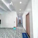 Bán Gấp Kho Nhà Xưởng 2.363m² Full SKC Mặt tiền - Lấp Vò, Đồng Tháp 15 tỷ99 - Ảnh thu nhỏ 2