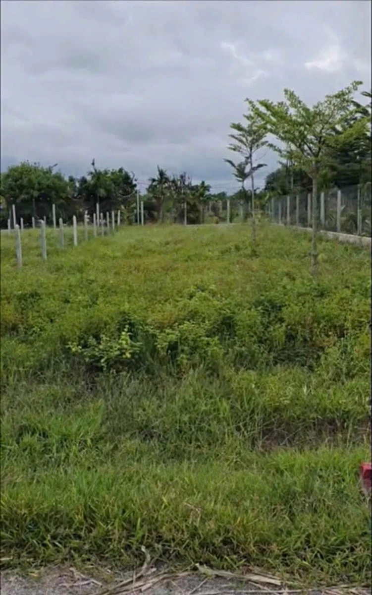 Bán đất 205m² Xã Tân Phong, Tây Ninh - 260 triệu - Ảnh thu nhỏ 2