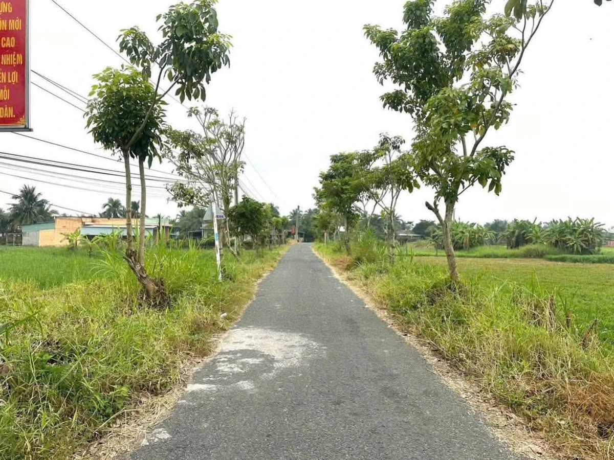 Bán lô đất thổ cư mặt tiền 200m² Long An 950 triệu - Ảnh thu nhỏ 4