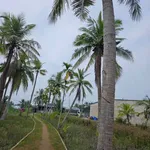 Bán đất QL60 Bình Chánh 588,7m² mặt tiền 1,59 tỷ - Ảnh thu nhỏ 2