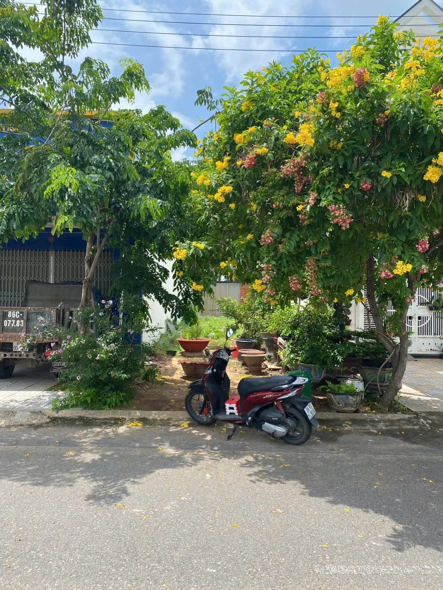 Bán lô thổ cư 100m2 Hàm Thắng, Lâm Đồng - Ảnh 1