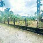 Bán lô đất 112.5m² Ba La, Nhà Bè - Ảnh thu nhỏ 2