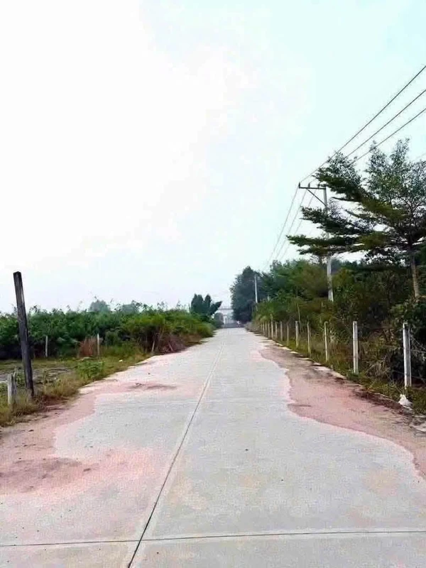Bán đất Cần Giờ Long Nguyên 1.068 m², 1 tỷ 100 triệu