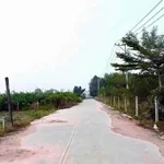 Bán đất Cần Giờ Long Nguyên 1.068 m², 1 tỷ 100 triệu - Ảnh thu nhỏ 1