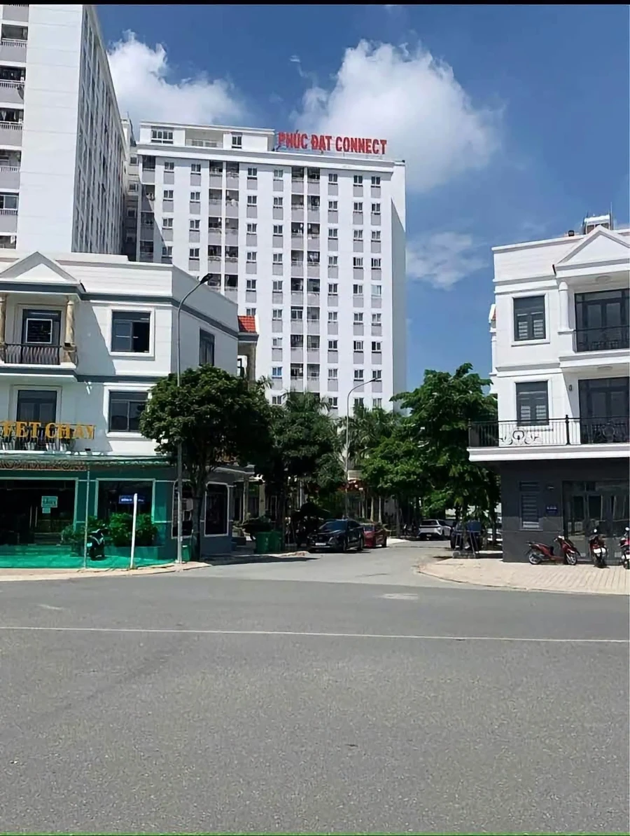 Bán đất 100m² mặt tiền D2 KDC Phúc Đạt Thủ Dầu Một - Ảnh thu nhỏ 3